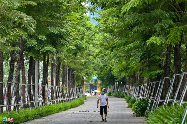 Dọc hai b&ecirc;n đường Phạm Văn Đồng từ n&uacute;t giao Mai Dịch đến cầu Thăng Long được trồng 1.500 c&acirc;y xanh. Ảnh: Zing.vn