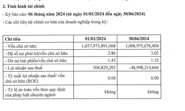 T&igrave;nh h&igrave;nh t&agrave;i ch&iacute;nh 6 th&aacute;ng đầu năm 2024 của Danh Việt &nbsp;