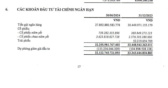 Thuyết minh c&aacute;c khoản đầu tư t&agrave;i ch&iacute;nh ngắn hạn tại b&aacute;o c&aacute;o t&agrave;i ch&iacute;nh qu&yacute; II/2024&nbsp;