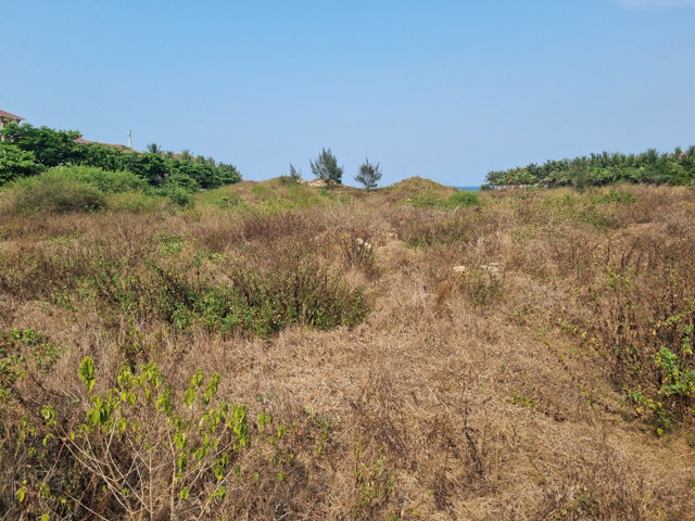 B&ecirc;n trong chưa triển khai g&igrave;.&nbsp;