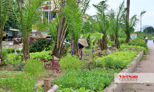 Toàn cảnh trục Tây Thăng Long kết nối 5 quận, huyện phía tây Hà Nội - Ảnh 20