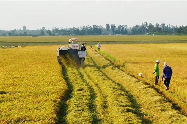 Nhiều người đ&atilde; mua gom đất n&ocirc;ng nghiệp trước khi Luật Đất đai 2024 c&oacute; hiệu lực. Ảnh: Internet &nbsp;