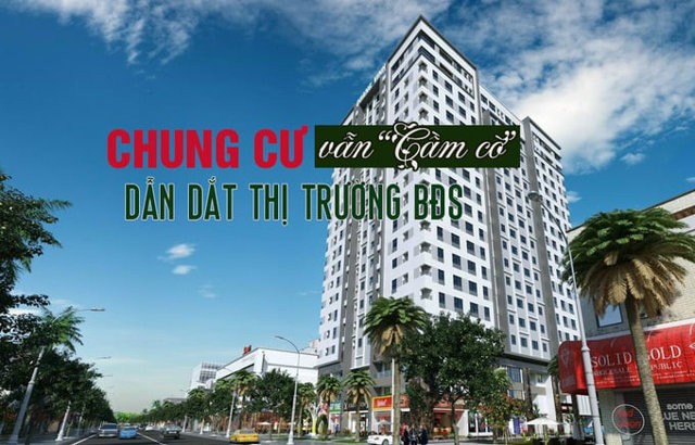 Phân khúc chung cư vẫn “cầm cờ” dẫn dắt thị trường bất động sản - Ảnh 1