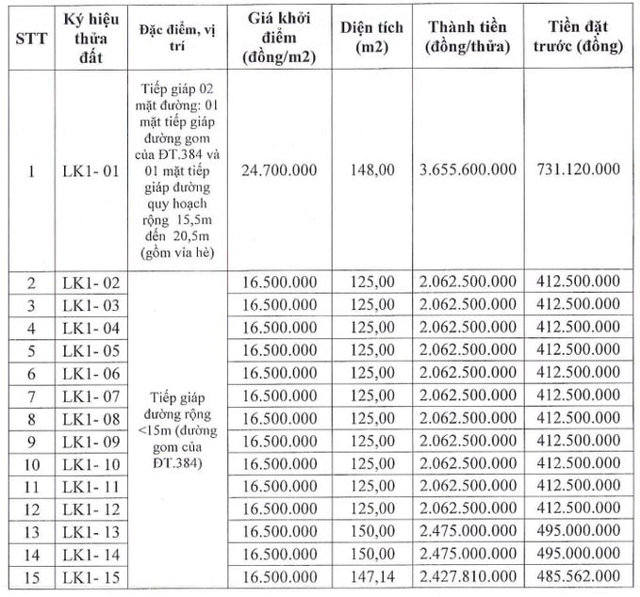 Tỉnh sở hữu 2 đại đô thị của Vinhomes đấu giá 101 lô đất trong tháng 9, giá khởi điểm từ 14,4 triệu đồng/m2 - Ảnh 1