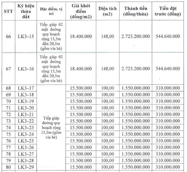 Tỉnh sở hữu 2 đại đô thị của Vinhomes đấu giá 101 lô đất trong tháng 9, giá khởi điểm từ 14,4 triệu đồng/m2 - Ảnh 6