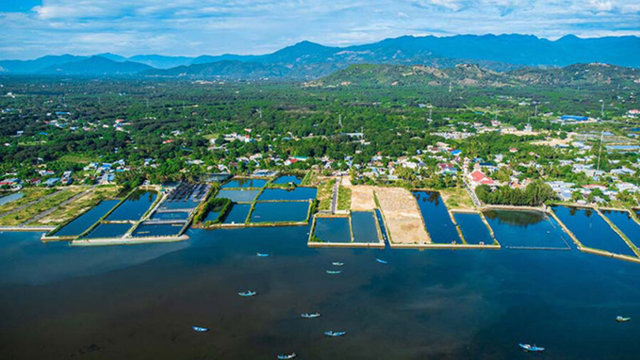 Ngo&agrave;i ra, khu vực trung t&acirc;m c&ograve;n được thiết kế với c&ocirc;ng vi&ecirc;n lớn v&agrave; th&aacute;p Tr&iacute; Tuệ cao tối đa 45 tầng. Ảnh: Internet &nbsp;