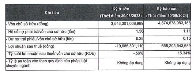 T&igrave;nh h&igrave;nh t&agrave;i ch&iacute;nh b&aacute;n ni&ecirc;n 2024 của&nbsp;C&ocirc;ng ty cổ phần GreenFeed Việt Nam.