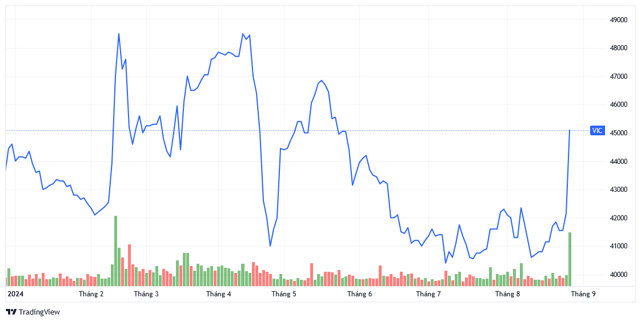 Diễn biến gi&aacute; cổ phiếu Vingroup từ đầu năm đến nay. Nguồn đồ thị: TradingView