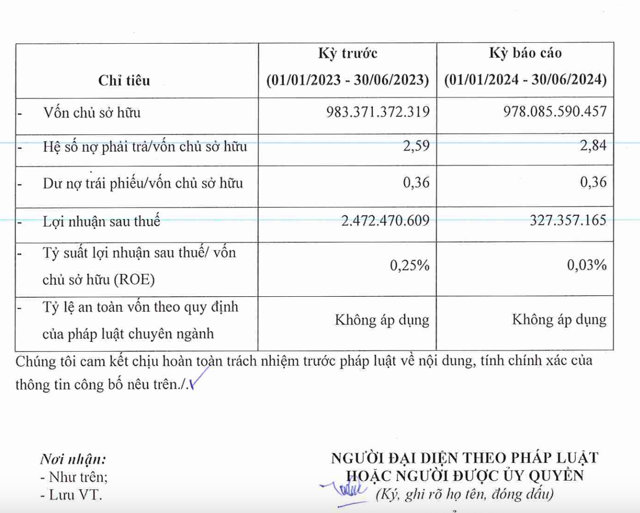 T&igrave;nh h&igrave;nh t&agrave;i ch&iacute;nh của Đầu tư DHA trong nửa đầu năm 2024. &nbsp;