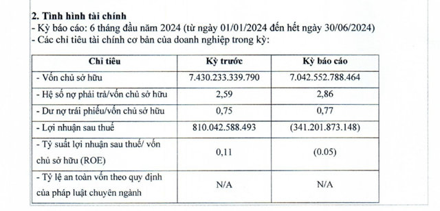 T&igrave;nh h&igrave;nh t&agrave;i ch&iacute;nh 6 th&aacute;ng đầu năm 2024 của BIM Land