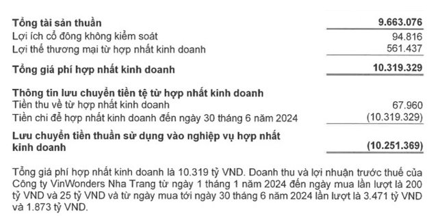 Th&ocirc;ng tin về VinWonders Nha Trang trong b&aacute;o c&aacute;o t&agrave;i ch&iacute;nh Vingroup. Ảnh chụp m&agrave;n h&igrave;nh