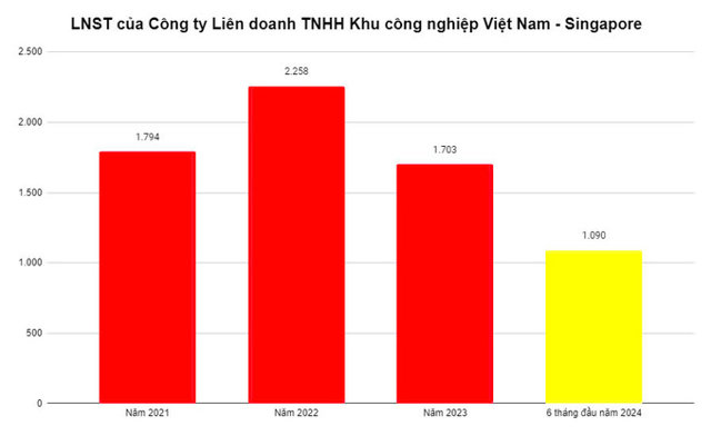 Tổng tài sản Công ty VSIP tăng 45% sau nửa năm 2024 - Ảnh 1