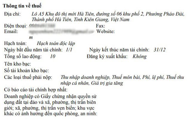 NewstarLand: 'Chiến thần' bán BĐS Vinhomes nhưng chỉ có 5 lao động? - Ảnh 3