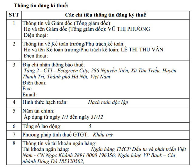 NewstarLand: 'Chiến thần' bán BĐS Vinhomes nhưng chỉ có 5 lao động? - Ảnh 1