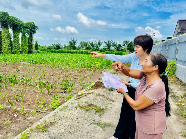 Dự thảo quy định tách thửa loại bỏ điều kiện về quy hoạch - Ảnh 1