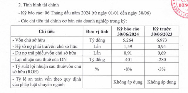 CTCP B&ocirc;ng Sen lỗ triền mi&ecirc;n.