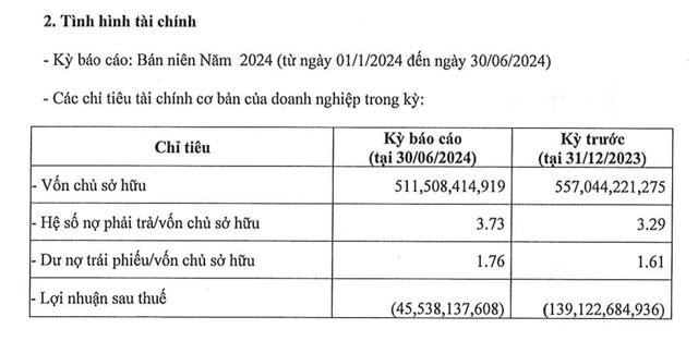 Ông chủ Shizen Home: Thua lỗ triền miên, nặng gánh nợ nần - Ảnh 1