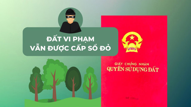 Sẽ c&oacute; 4 trường hợp đất lấn chiếm vẫn được cấp sổ đỏ theo Luật Đất đai 2024. Ảnh: Internet