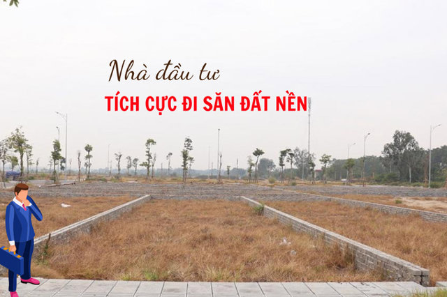 Nhà đầu tư tiếp tục đi săn đất nền - Ảnh 1