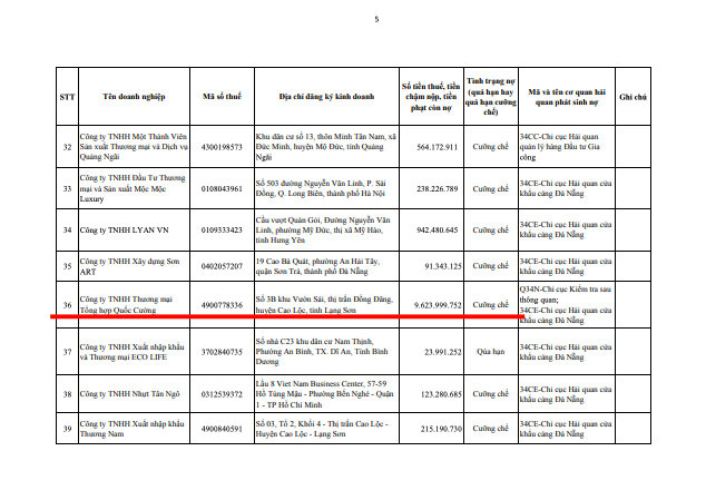 Nợ thuế tiền tỷ, loạt DN bị Hải Quan Đà Nẵng ‘bêu’ tên - Ảnh 1