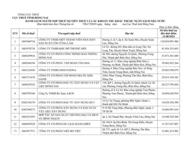Tr&ecirc;n địa b&agrave;n tỉnh Đồng Nai hiện c&oacute; 384 người c&ograve;n nợ tiền thuế v&agrave; c&aacute;c khoản thu kh&aacute;c thuộc ng&acirc;n s&aacute;ch nh&agrave; nước, số thuế nợ qu&aacute;n hạn gần 670 tỷ đồng. &nbsp;