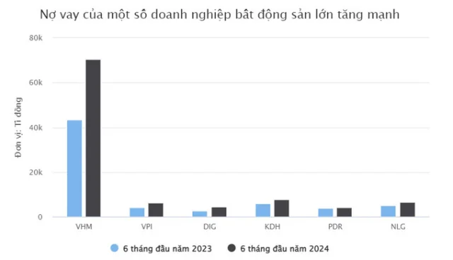 VIS Rating: Dư nợ bất động sản lớn, khả năng trả nợ phục hồi nhẹ - Ảnh 1