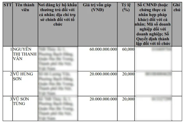 Bảo Tín Mạnh Hải: Doanh thu gần 1.000 tỷ, đóng thuế chưa nổi 20 triệu - Ảnh 2