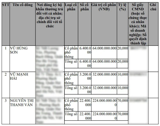 Bảo Tín Mạnh Hải: Doanh thu gần 1.000 tỷ, đóng thuế chưa nổi 20 triệu - Ảnh 4