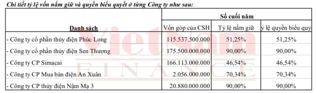 C&aacute;c khoản đầu tư t&agrave;i ch&iacute;nh của An Xu&acirc;n Group