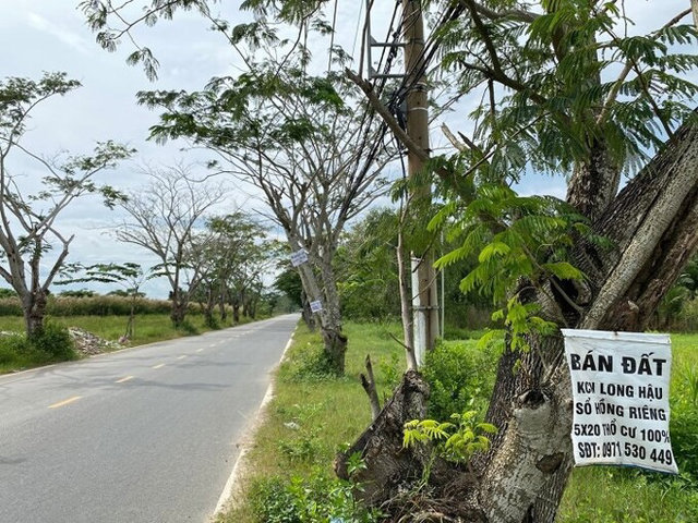 Tp.HCM: Si&ecirc;t chặt kh&ocirc;ng cho ph&acirc;n l&ocirc; b&aacute;n nền tại c&aacute;c huyện ngoại th&agrave;nh.