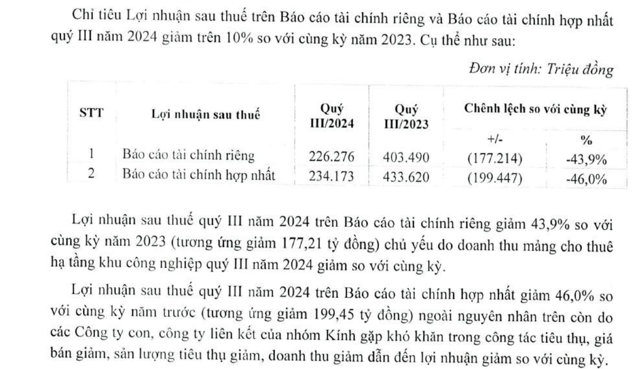 Viglacera: Dồn gần 6.200 tỷ trả nợ, lợi nhuận giảm gần 1 nửa - Ảnh 1