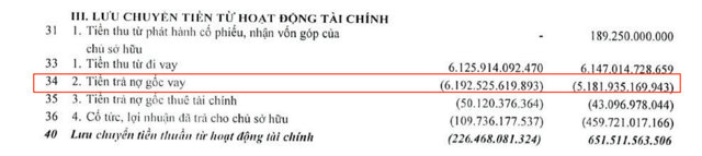 Viglacera: Dồn gần 6.200 tỷ trả nợ, lợi nhuận giảm gần 1 nửa - Ảnh 2