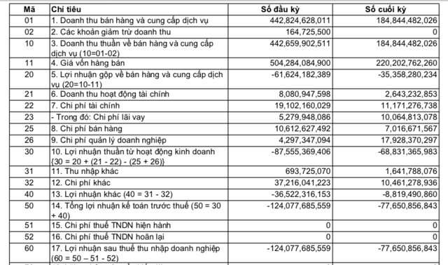 Kết quả kinh doanh của CTCP Găng Việt trong năm 2023 &nbsp;