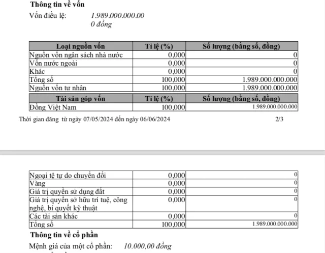 C&ocirc;ng ty cổ phần Đầu tư DIA hiện c&oacute; vốn điều lệ 1.989 tỷ đồng &nbsp;