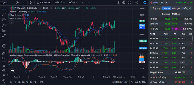 Cổ phiếu DXG tăng gần hết bi&ecirc;n độ với thanh khoản đột biến