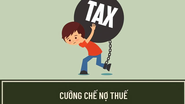 Thái Bình: Tập đoàn Đại Cường vi phạm về thuế, bị cưỡng chế tài khoản - Ảnh 1