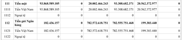 C&ocirc;ng ty RubyLand c&oacute; hơn 20,5 tỷ đồng tiền mặt đến thời điểm cuối năm 2023