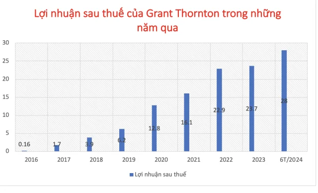 Nhận diện 'ông lớn' kiểm toán Grant Thornton Việt Nam - Ảnh 1