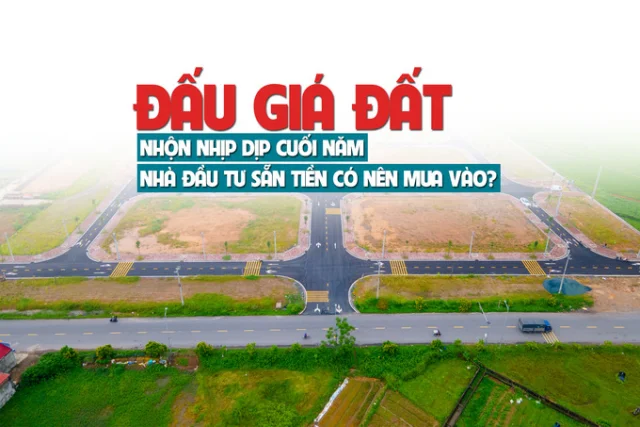 Đấu giá đất nhộn nhịp dịp cuối năm, nhà đầu tư sẵn tiền có nên mua vào? - Ảnh 1