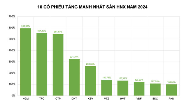 Cổ phiếu tăng mạnh 2024: Có mã bứt phá 595%, nhà đầu tư 'ăn đậm' - Ảnh 2