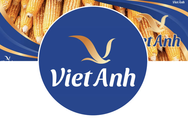 Logo C&ocirc;ng ty CP Việt Anh.