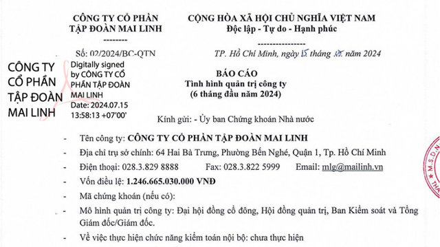 C&ocirc;ng ty Cổ phần Tập đo&agrave;n Mai Linh c&oacute; vốn điều lệ l&agrave; 1.246 tỷ đồng.