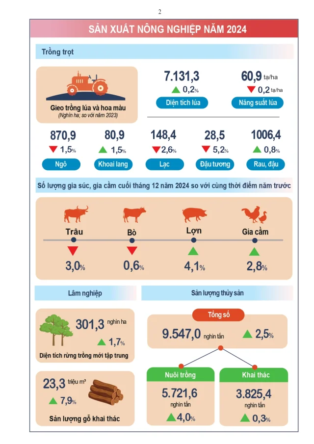 Tình hình kinh tế - xã hội năm 2024 - Ảnh 2