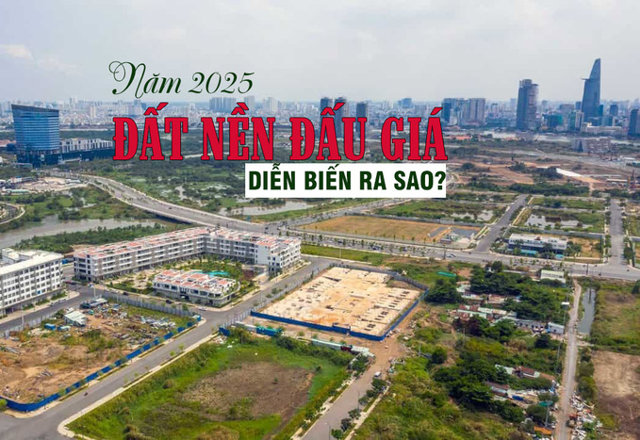 Năm 2025, thị trường đấu giá đất diễn biến ra sao? - Ảnh 1