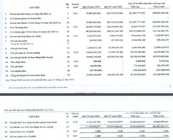 VRG: Quý 4/2024, lợi nhuận ròng giảm 86% so với cùng kỳ - Ảnh 1