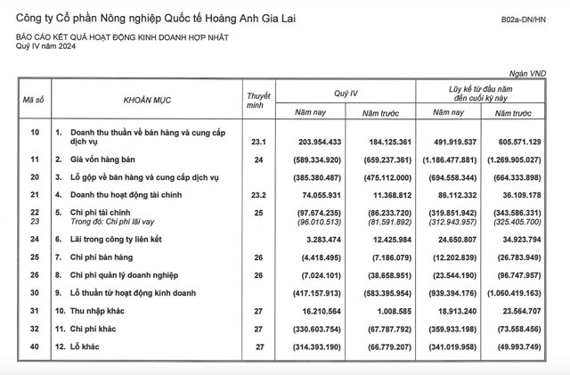 Chỉ còn 500 ha chuối cho thu hoạch, HAGL Agrico lỗ ròng nghìn tỷ năm 2024 - Ảnh 1