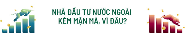 Chứng khoán trong 'kỷ nguyên vươn mình': Làm sao hút vốn ngoại? - Ảnh 2