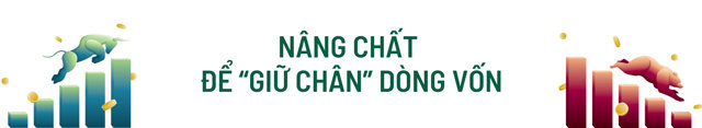 Chứng khoán trong 'kỷ nguyên vươn mình': Làm sao hút vốn ngoại? - Ảnh 6