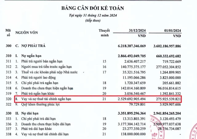 Nam Tân Uyên: Vay nợ ngắn hạn tăng vọt từ gần 276 tỷ đồng lên hơn 2.500 tỷ đồng từ đầu năm - Ảnh 3