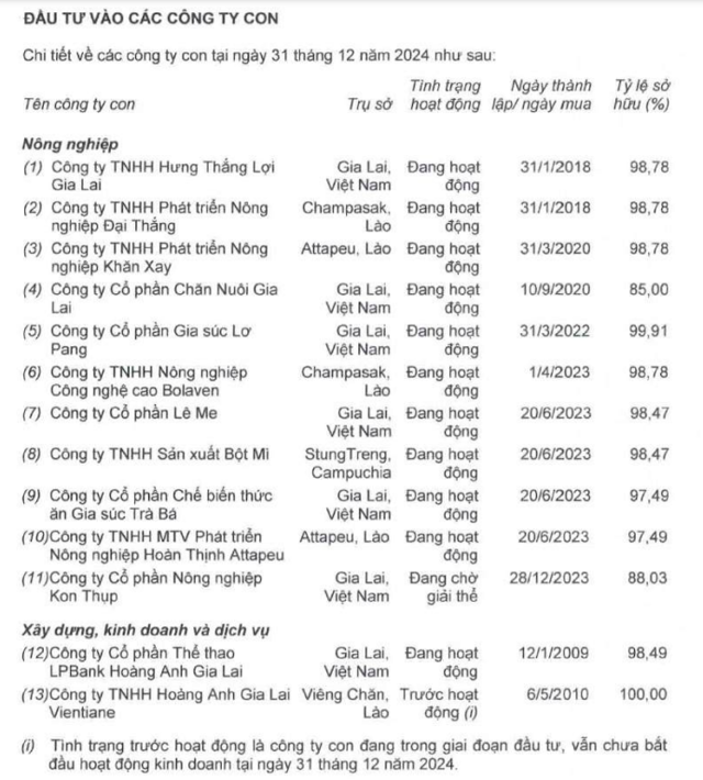 Danh s&aacute;ch c&ocirc;ng ty con tại ng&agrave;y 31/12/2024 của Ho&agrave;ng Anh Gia Lai. &nbsp;